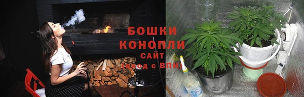 ГАЛЛЮЦИНОГЕННЫЕ ГРИБЫ Верхний Тагил