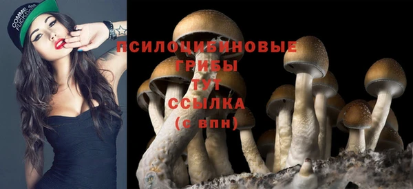 ALPHA PVP Верея