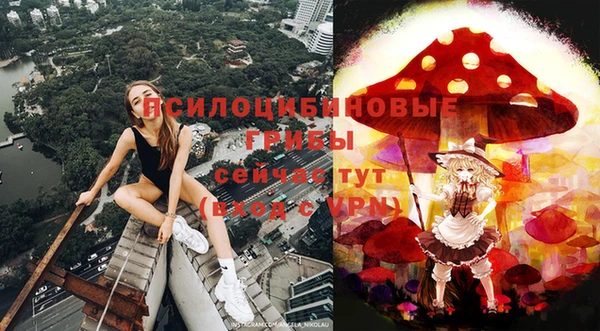 ГАЛЛЮЦИНОГЕННЫЕ ГРИБЫ Верхний Тагил