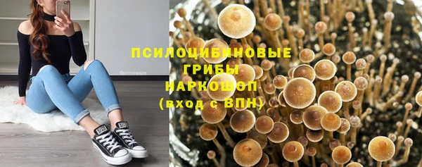ГАЛЛЮЦИНОГЕННЫЕ ГРИБЫ Верхний Тагил