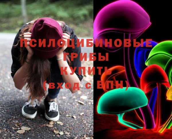 ГАЛЛЮЦИНОГЕННЫЕ ГРИБЫ Верхний Тагил